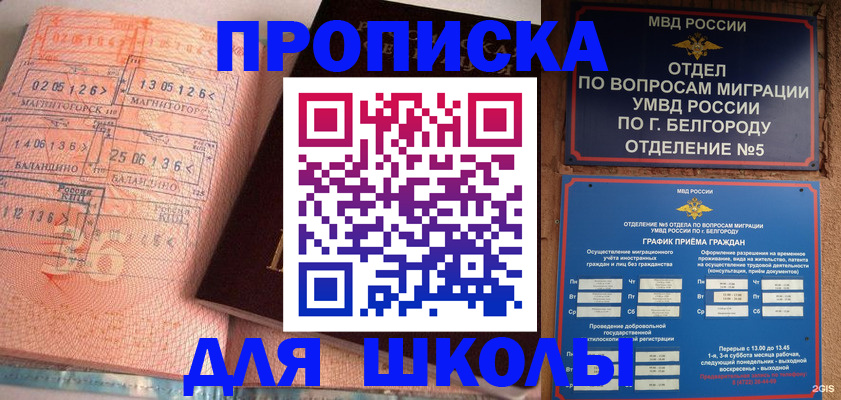 прописка иностранных граждан в Алейске